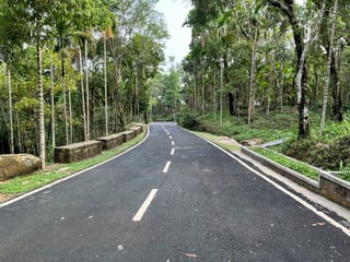Tutto sul noleggio auto in Indonesia