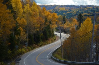 Strada attraverso la foresta autunnale in Canada