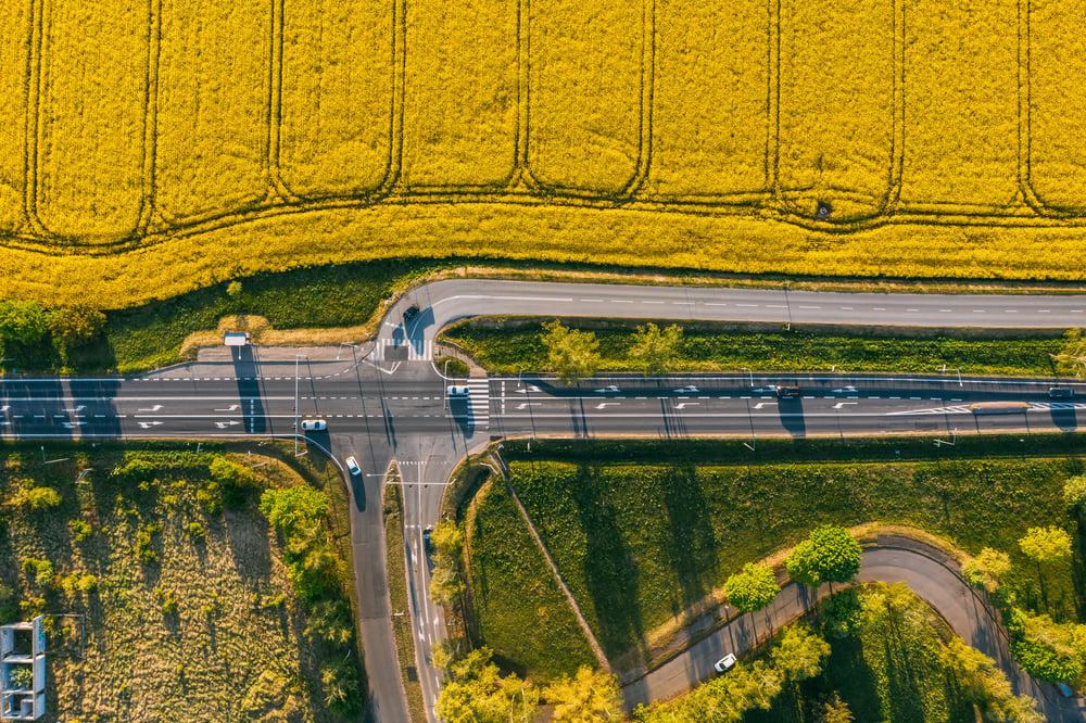 Campi gialli sul ciglio dell'autostrada