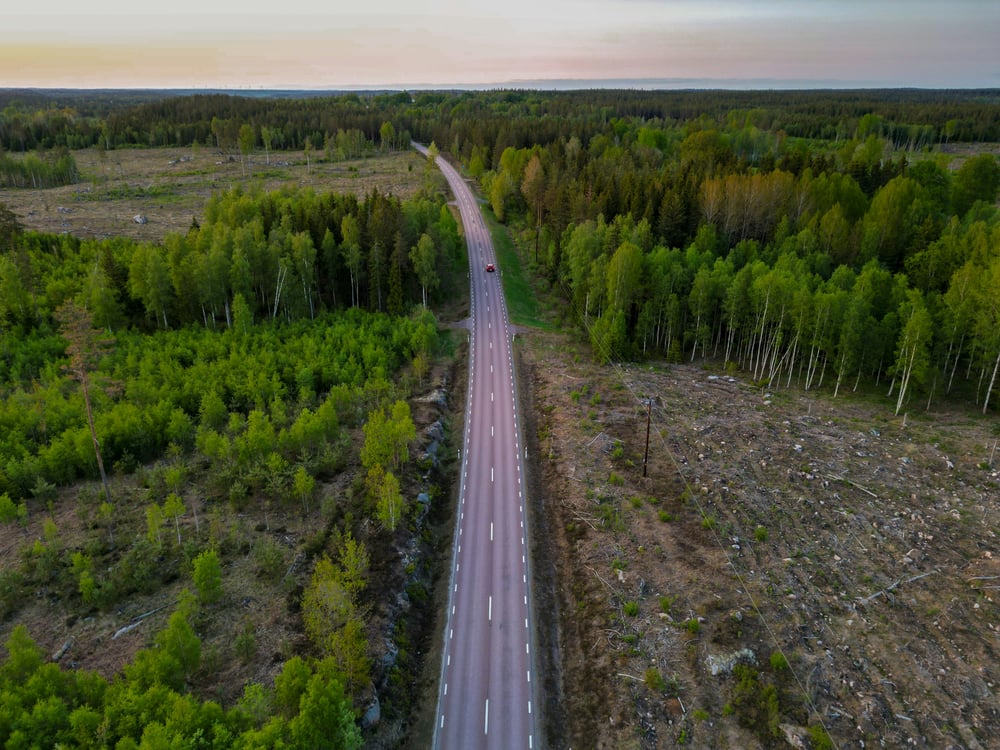 Una strada attraverso una foresta in Svezia