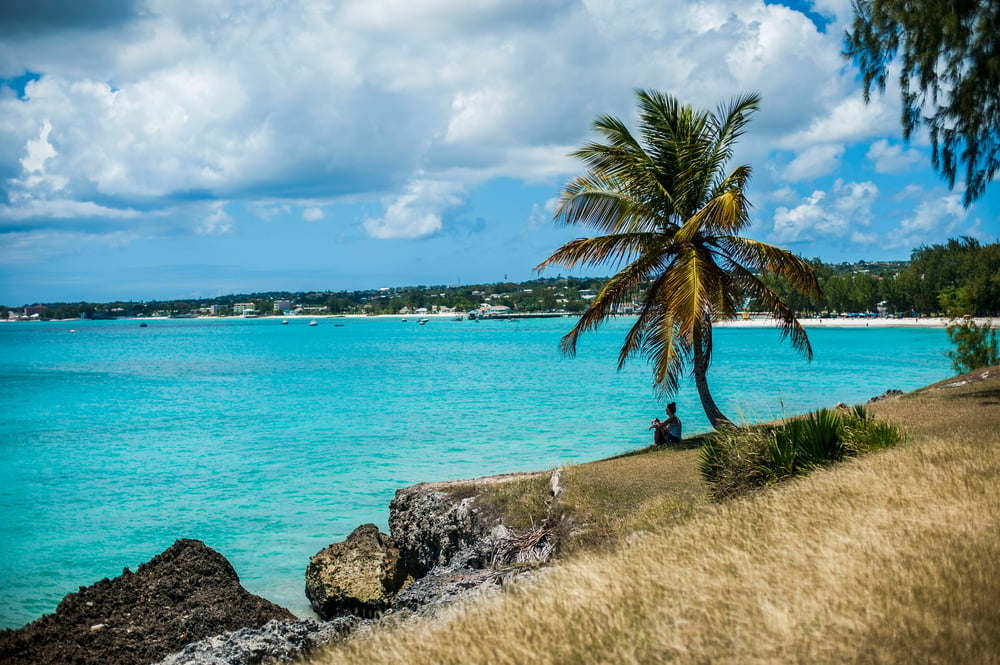 Vista della costa di Barbados
