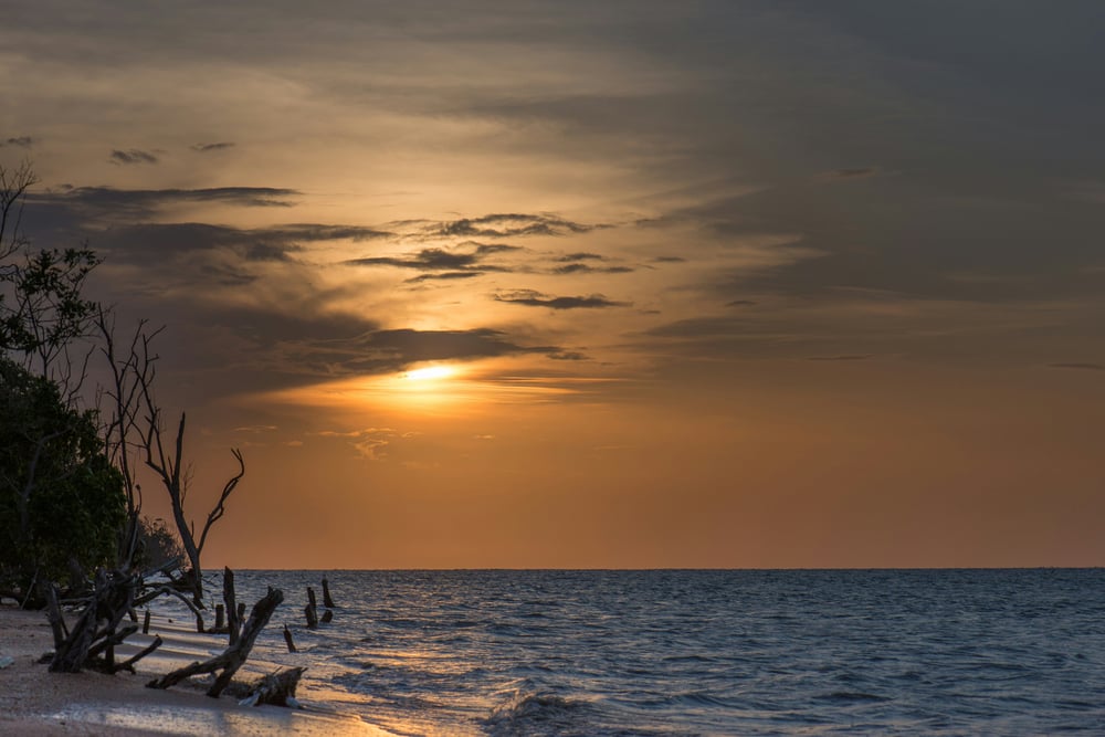 Spiaggia al tramonto in Suriname